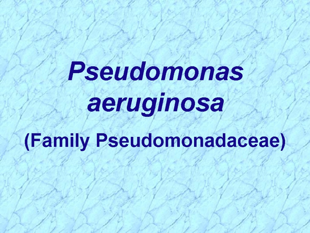 Pseudomonas aeruginosa (Family Pseudomonadaceae)